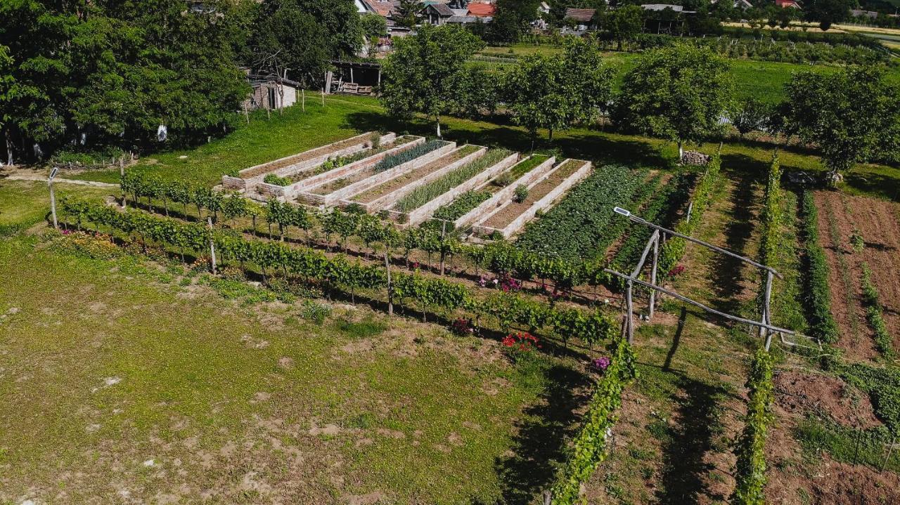Sobe Kod Baje - Baranjska Kuca Acomodação com café da manhã Karanac Exterior foto